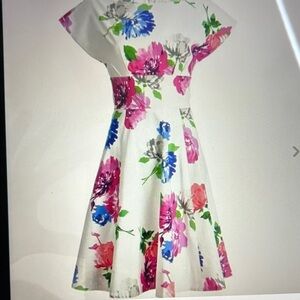 NWT Kate Spade In Bloom Fit & Flare Dress, 0